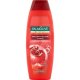 Shampoos, Conditioner - Palmolive Brilliant Color Shampoo für gefärbtes Haar 350ml - 