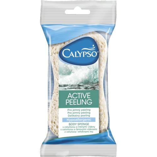 Spontex Calypso Schwamm Aktiv Peeling 20203